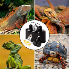 Load image into Gallery viewer, Reptile Lighting Kit: 100W UVA UVB Sunlamp and Ceramic Heat Emitter Included