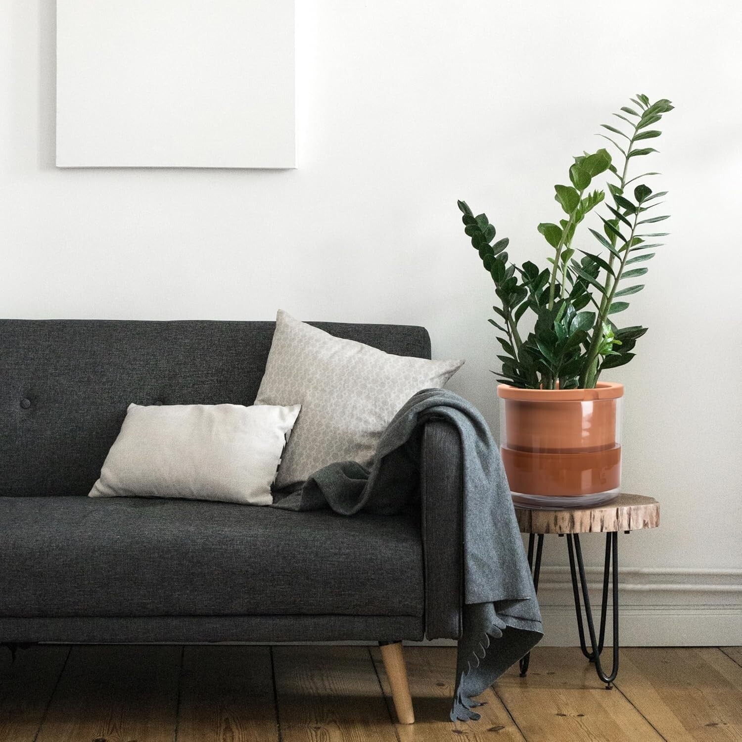 10 Inch Resin White Terracotta Self-Watering Pot - Perfect for Indoor Plants