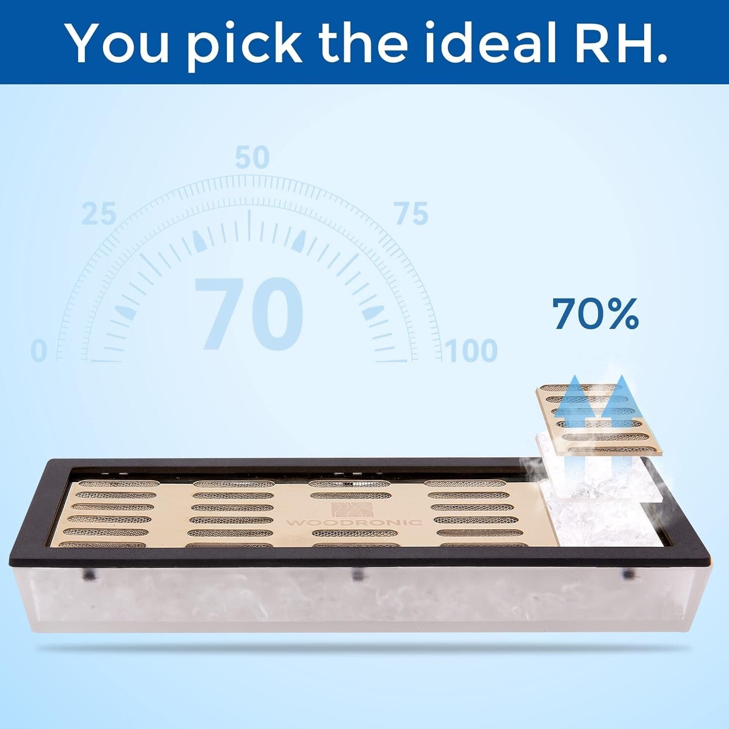 Luxury Cigar Storage Cabinet with Digital Hygrometer - Preserve Your Collection