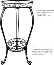Load image into Gallery viewer, Black Powder-Coated 2-Tier Plant Stand - Heavy Duty for Indoors &amp; Outdoors