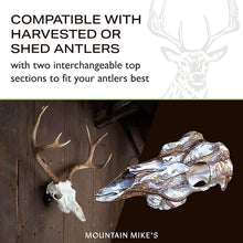 Load image into Gallery viewer, Rustic Skull Master Antler Mount Kit - Perfect for Harvested and Shed Antlers
