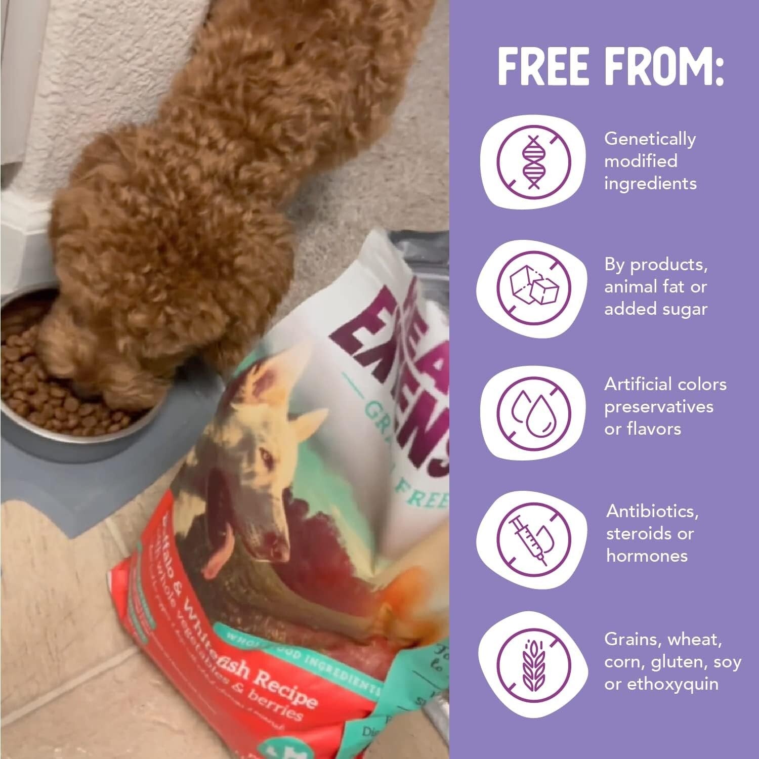 Natural Grain-Free Buffalo & Whitefish Dog Food - Perfect for All Breeds & Ages