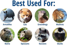 Load image into Gallery viewer, Humane Live Animal Trap 32"L - Secure Easy Set Design for Multiple Species