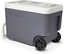 Load image into Gallery viewer, Portable Electric Cooler with Efficient Thermoelectric Technology - 35Qt
