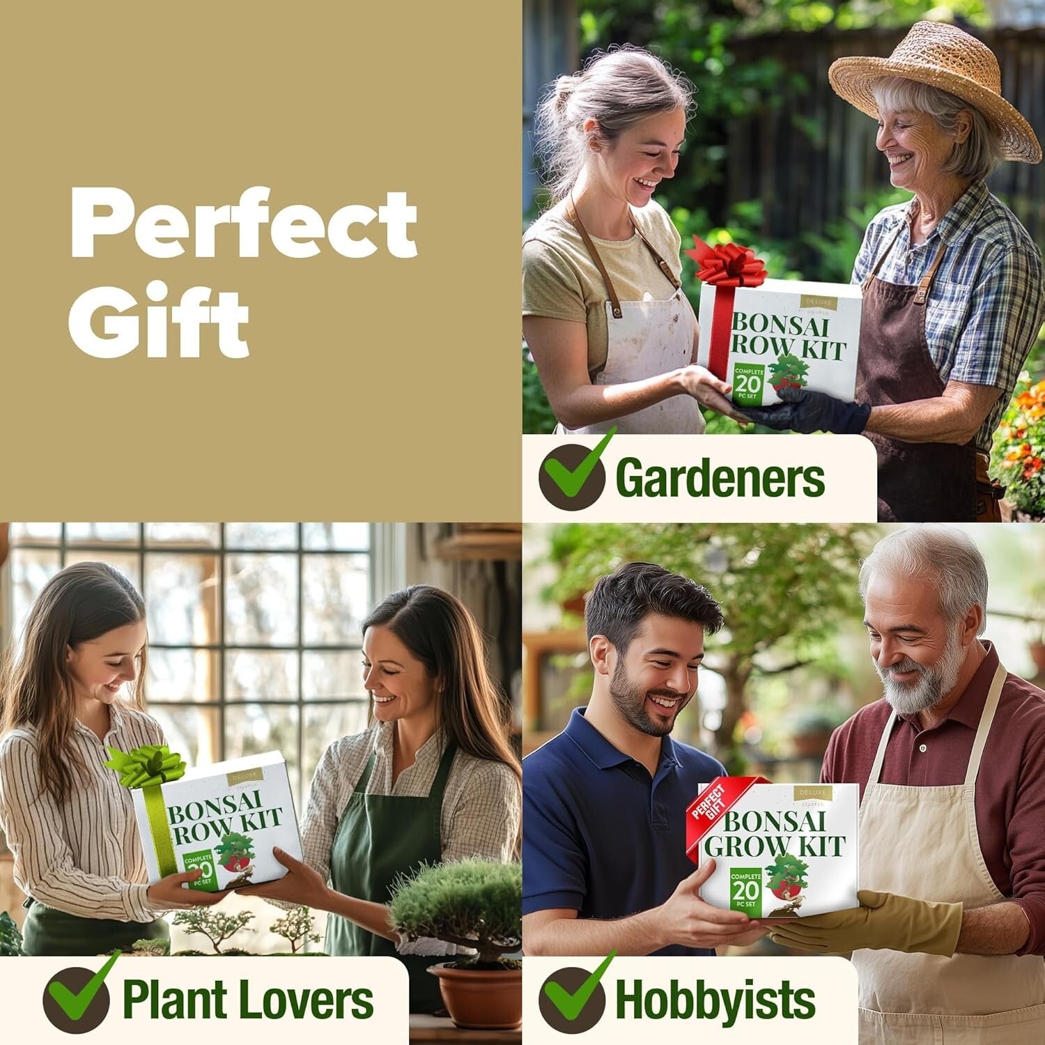 Elegant Bonsai Tree Starter Kit: 4 Unique Varieties & In-Depth Grow Guide