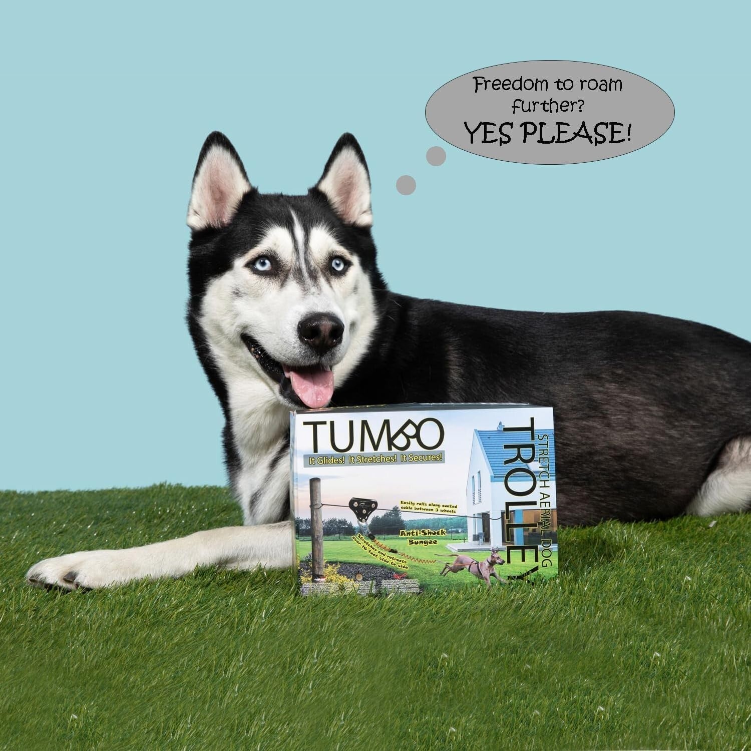 Anti-Shock Aerial Dog Zipline Runner - 150ft Heavy-Duty for Large Dogs