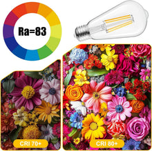 Load image into Gallery viewer, Vintage Style 12-Pack E26 Edison Bulbs - Energy Efficient Warm White Light