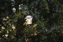 Load image into Gallery viewer, Compact Vintage-Style Hanging Lantern with Adjustable Brightness for Camping