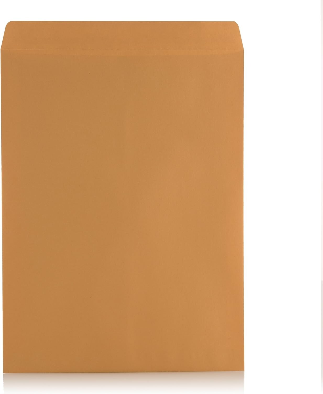 Durable 9x12 Self-Sealing Brown Kraft Envelopes - 250 Pack for Business Use
