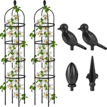 Load image into Gallery viewer, Lightweight 2-Pack 6ft Metal Garden Trellis - Quick Install for Climbing Plants
