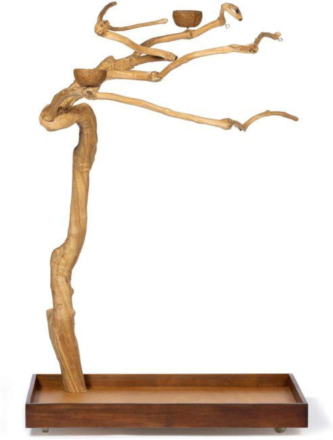 Medium Coffeewood Tree Playstand - Ideal for Cockatiels, Quakers, and Conures