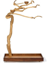 Load image into Gallery viewer, Medium Coffeewood Tree Playstand - Ideal for Cockatiels, Quakers, and Conures