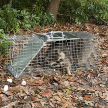 Load image into Gallery viewer, Humane Live Animal Trap 32"L - Secure Easy Set Design for Multiple Species