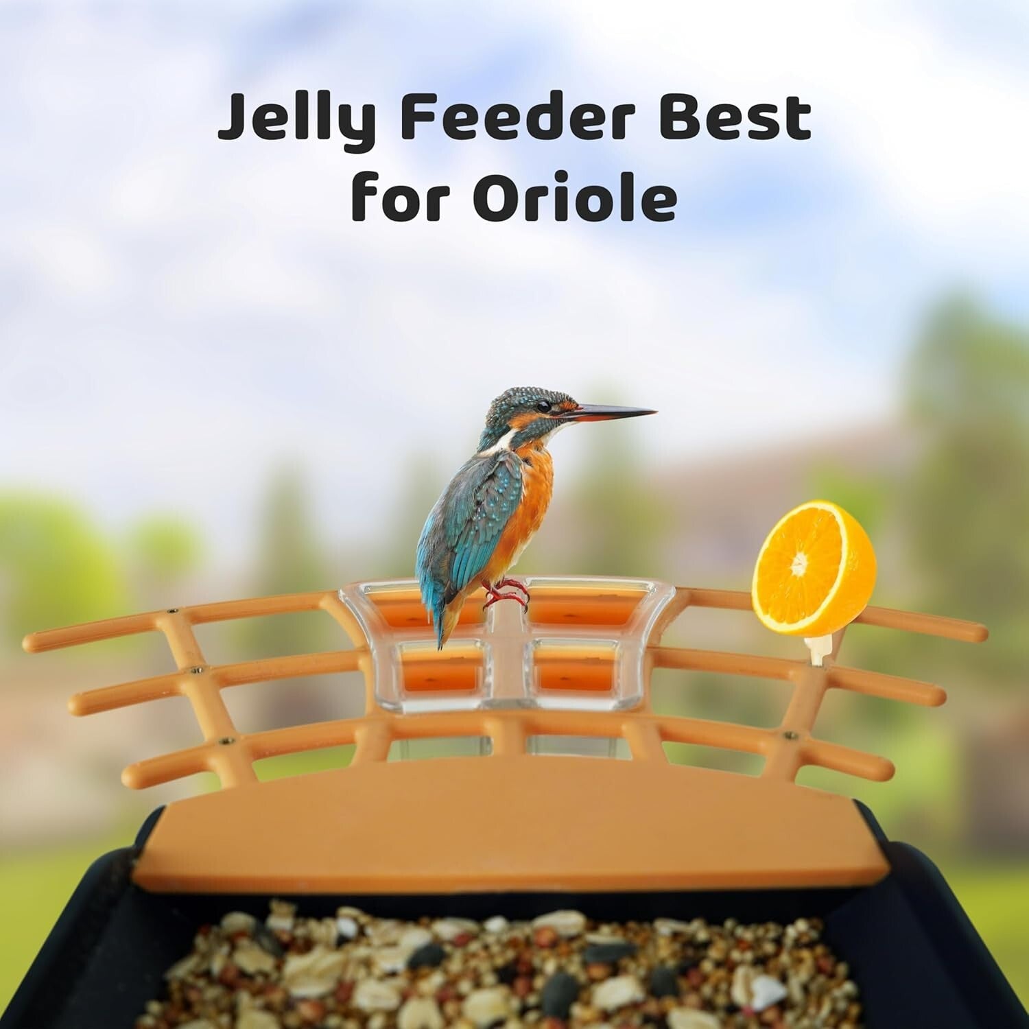 Solar Smart Bird Feeder - Capture, Identify and Enjoy Various Bird Species