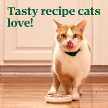 Load image into Gallery viewer, Nutritious 24-Pack Turkey Paté Cat Food - Complete Nutrition for All Breeds