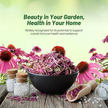 Load image into Gallery viewer, Heirloom Echinacea Coneflower Seeds - Drought Tolerant and Easy to Grow