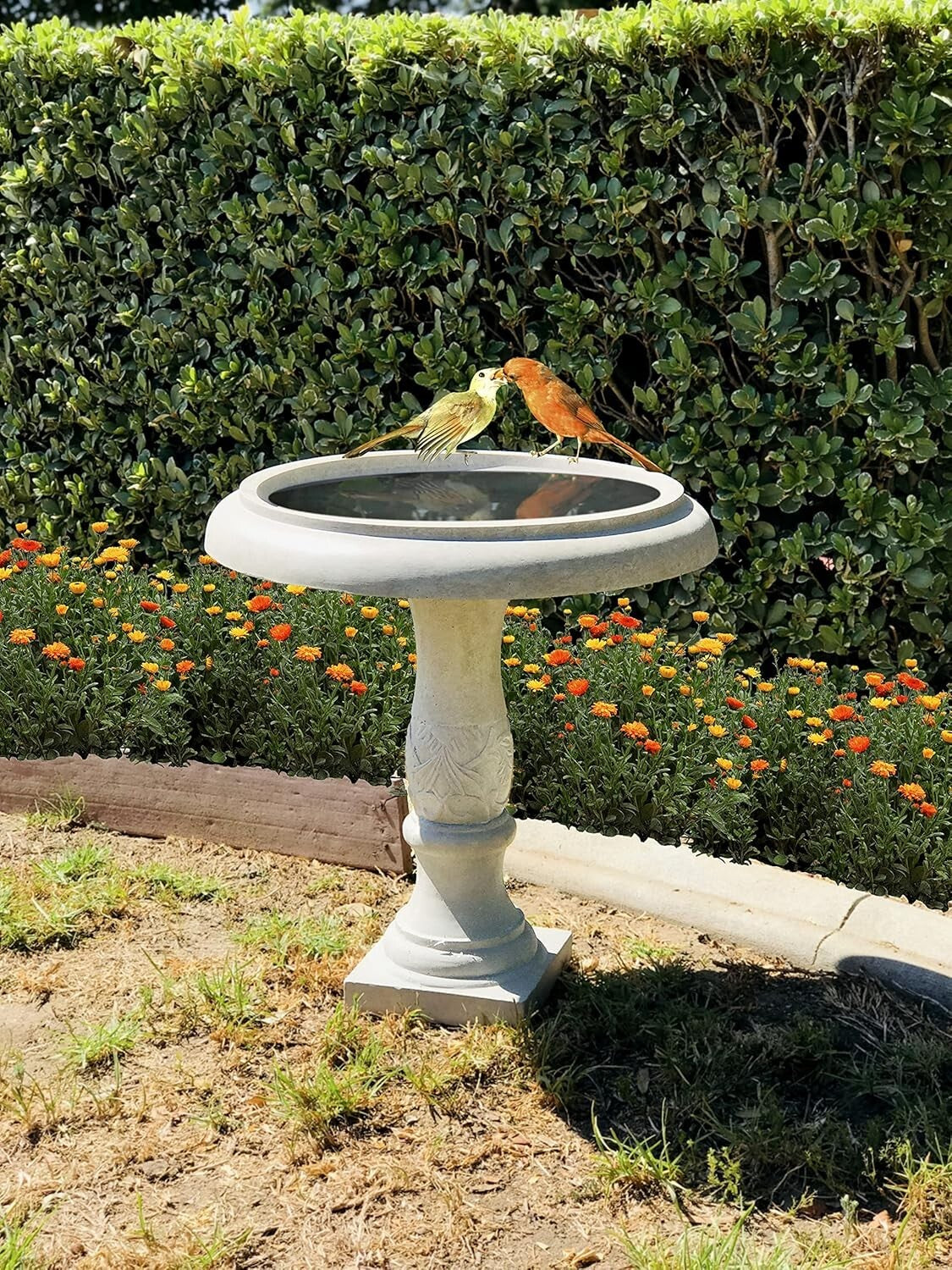 Elegant 24.5" Traditional Flower Pattern Concrete Birdbath for Garden Birds
