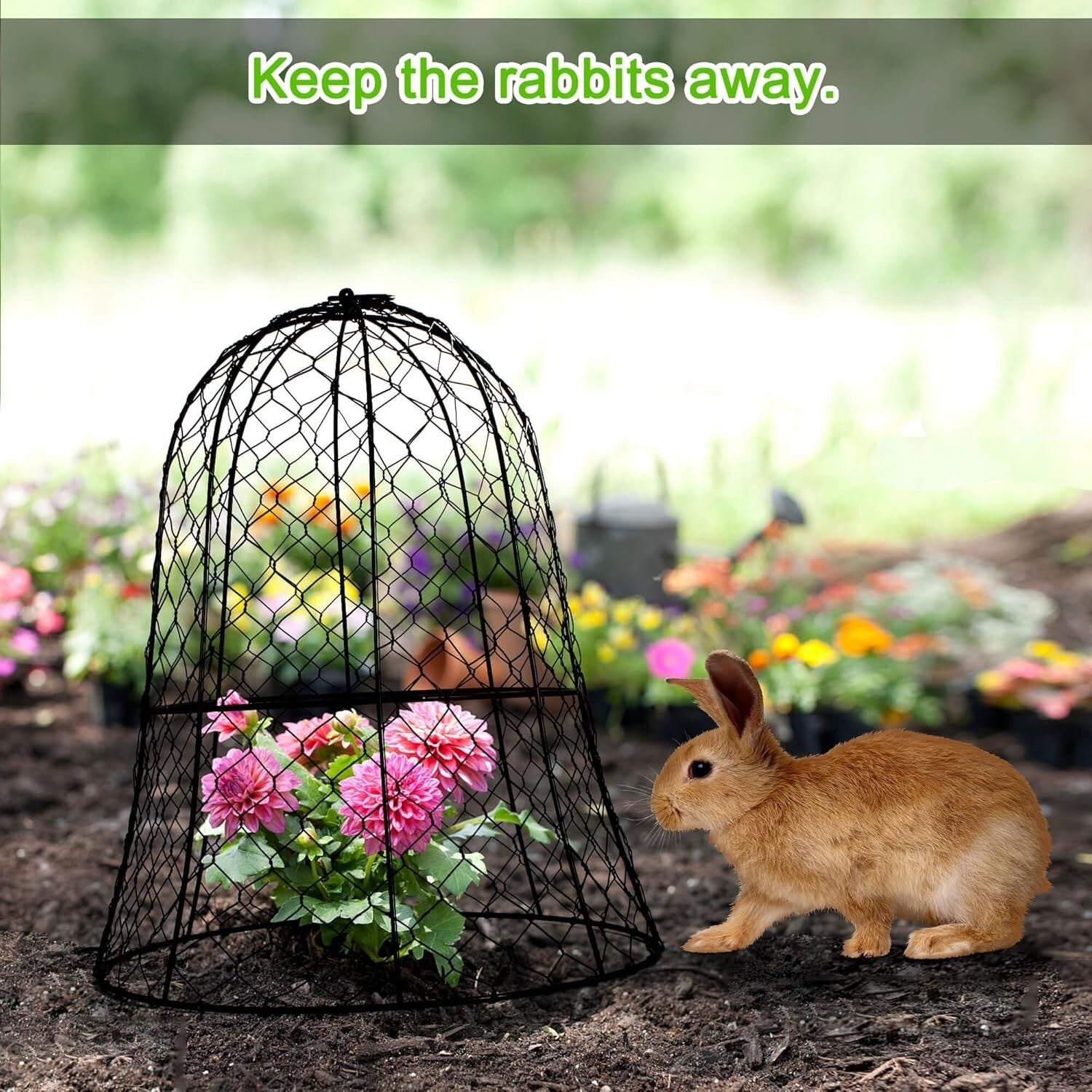 Space-Saving 6 Set Garden Cloches, 13"D x 17"H for Rabbits and Birds Deterrent