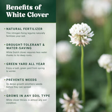 Load image into Gallery viewer, 5000 sq ft White Dutch Clover Seed - Year-Round Green &amp; Water-Efficient Solution