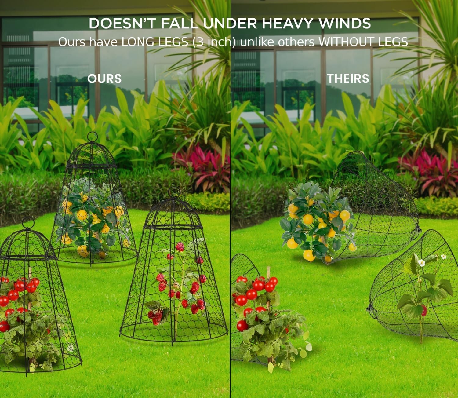 12x20 Inch Rustproof Garden Cloches - Pack of 6 for Ultimate Plant Protection