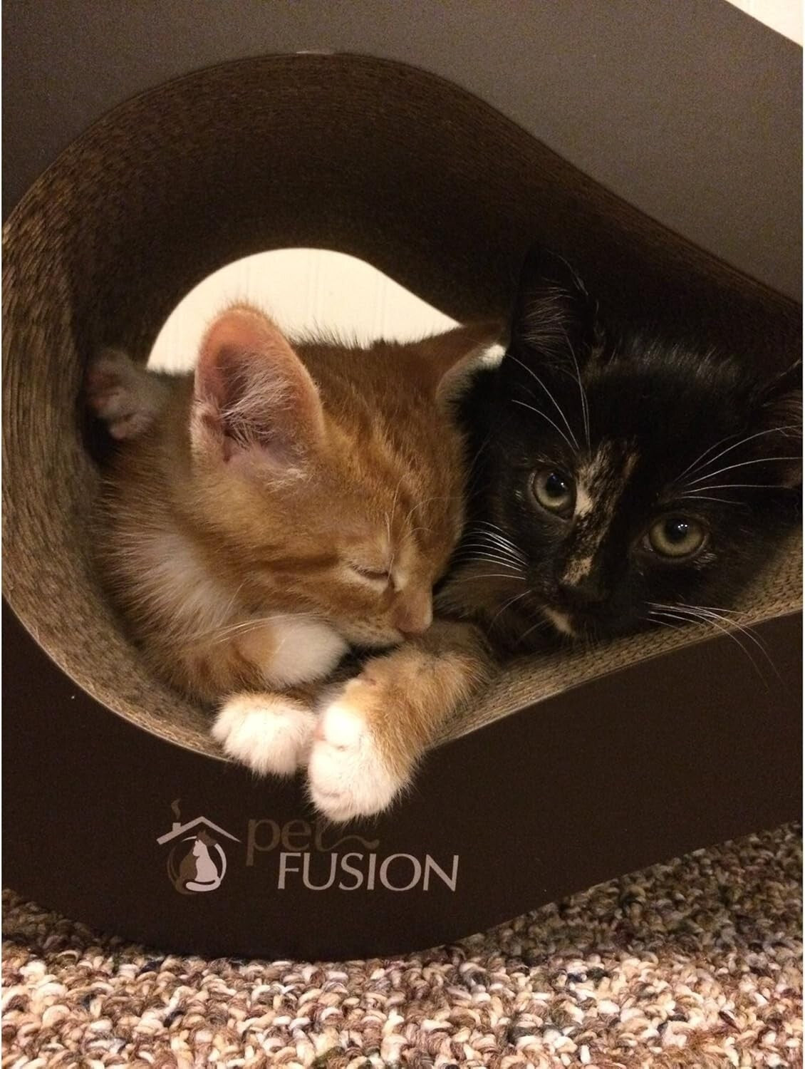 Ultimate Cat Scratch Lounge with Organic Catnip - Perfect for Indoor Cats
