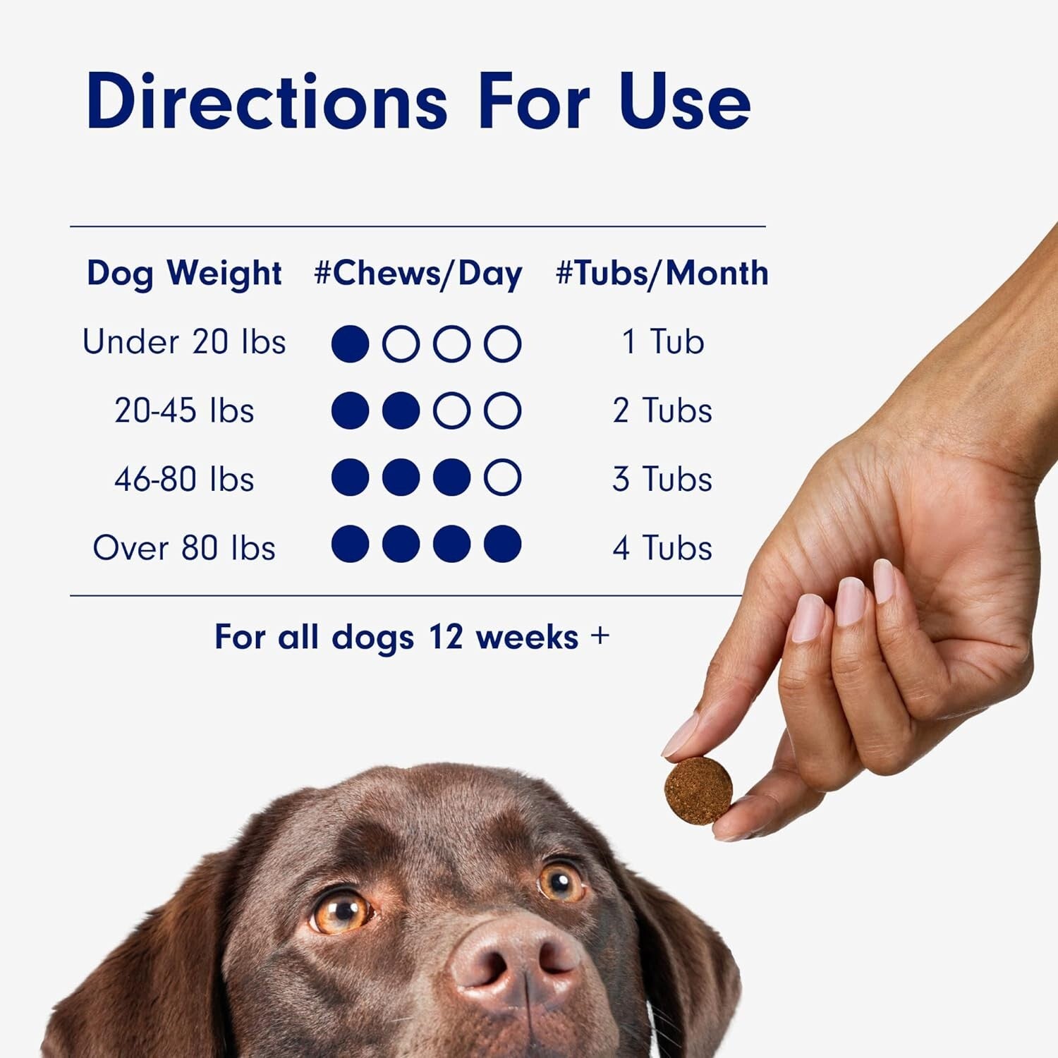 Itch Relief Chews for Dogs - Support Healthy Skin with Omega 3 & Turmeric