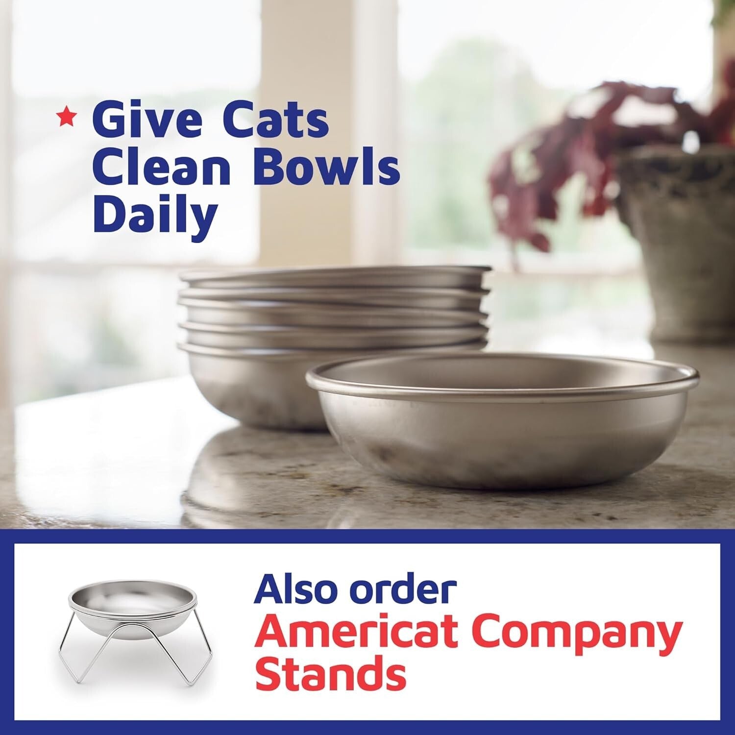 Whisker Friendly Stainless Steel Cat Bowls - 2 Durable Dishwasher Safe Dishes