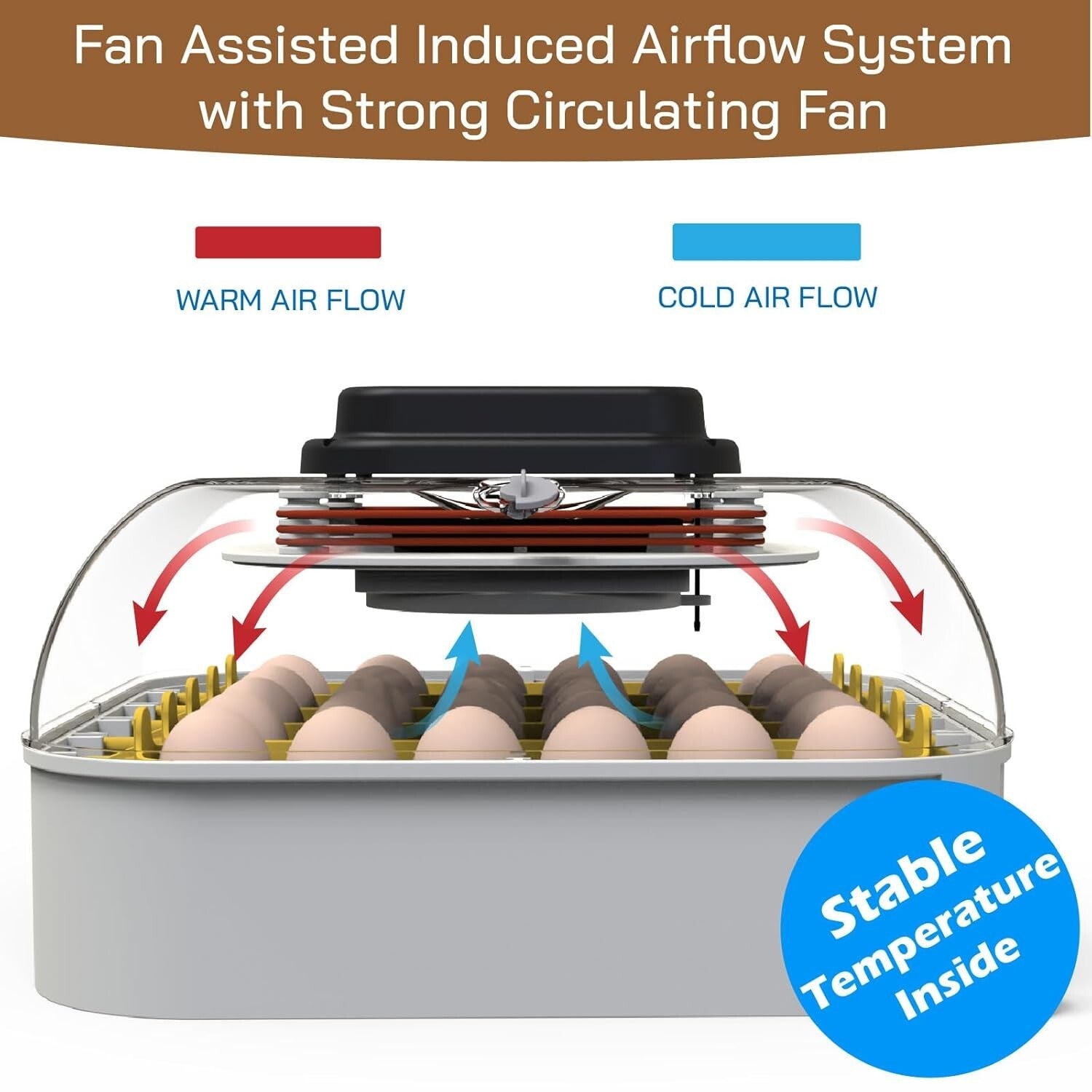 Advanced 30 Egg Incubator with Built-In Candler and External Water Refill