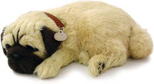 Load image into Gallery viewer, Lifelike Breathing Pug Stuffed Animal - Complete with Accessories &amp; Carrier