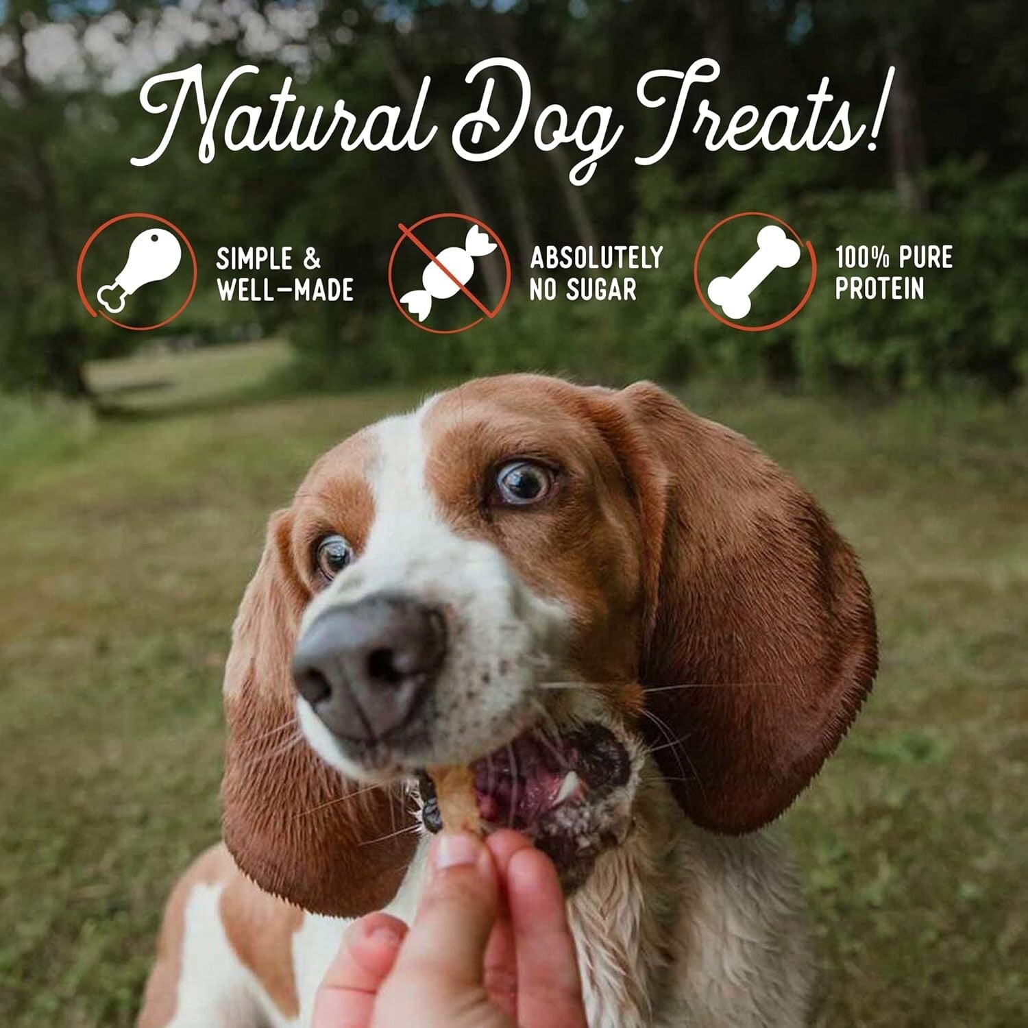 All-Natural Pork Jerky Dog Treats 10oz Pack of 2 - Diabetic-Friendly Snacks