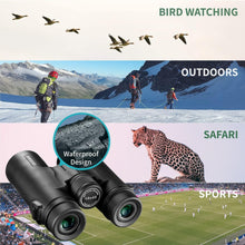 Load image into Gallery viewer, Durable 10x42 Binocular with Smart Phone Mount for Stunning Wildlife Observation