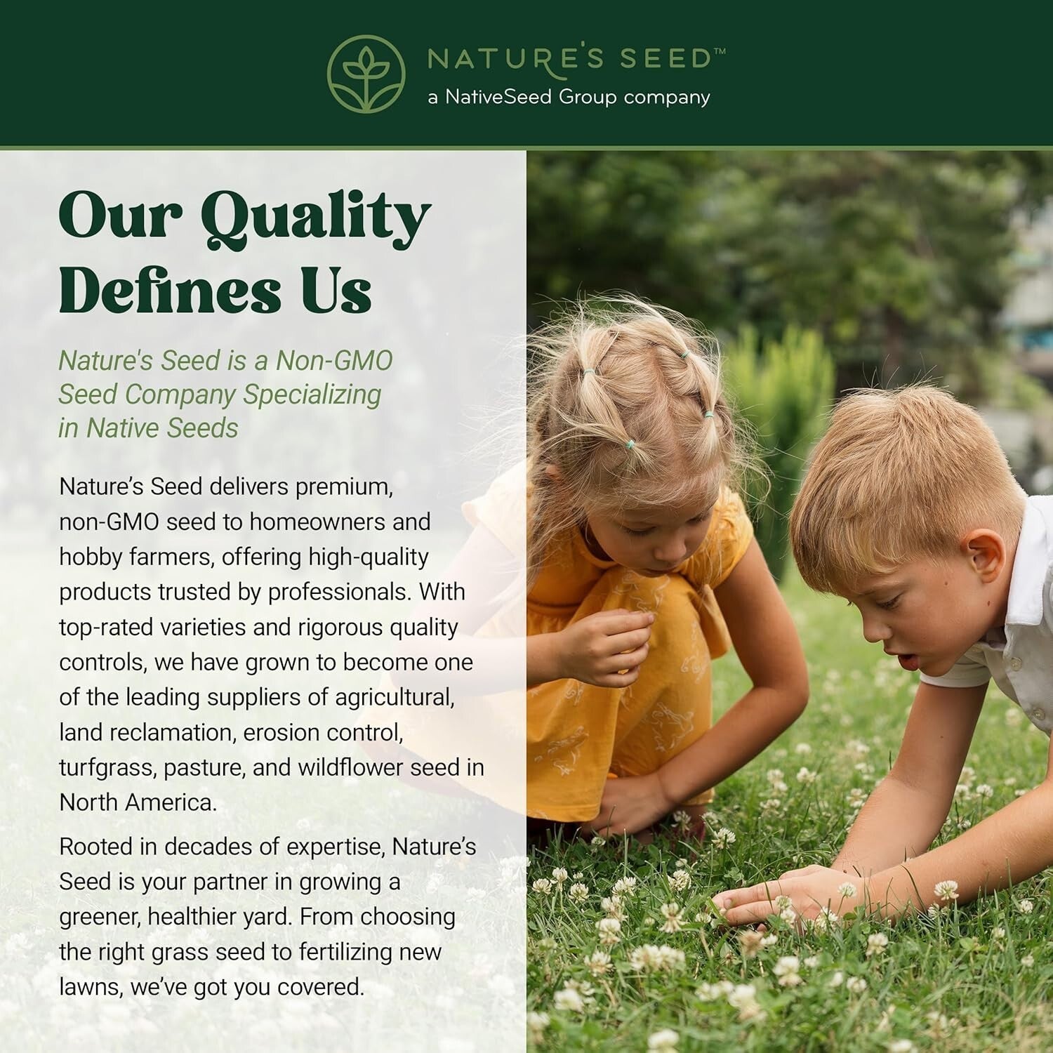 5000 sq ft White Dutch Clover Seed - Year-Round Green & Water-Efficient Solution