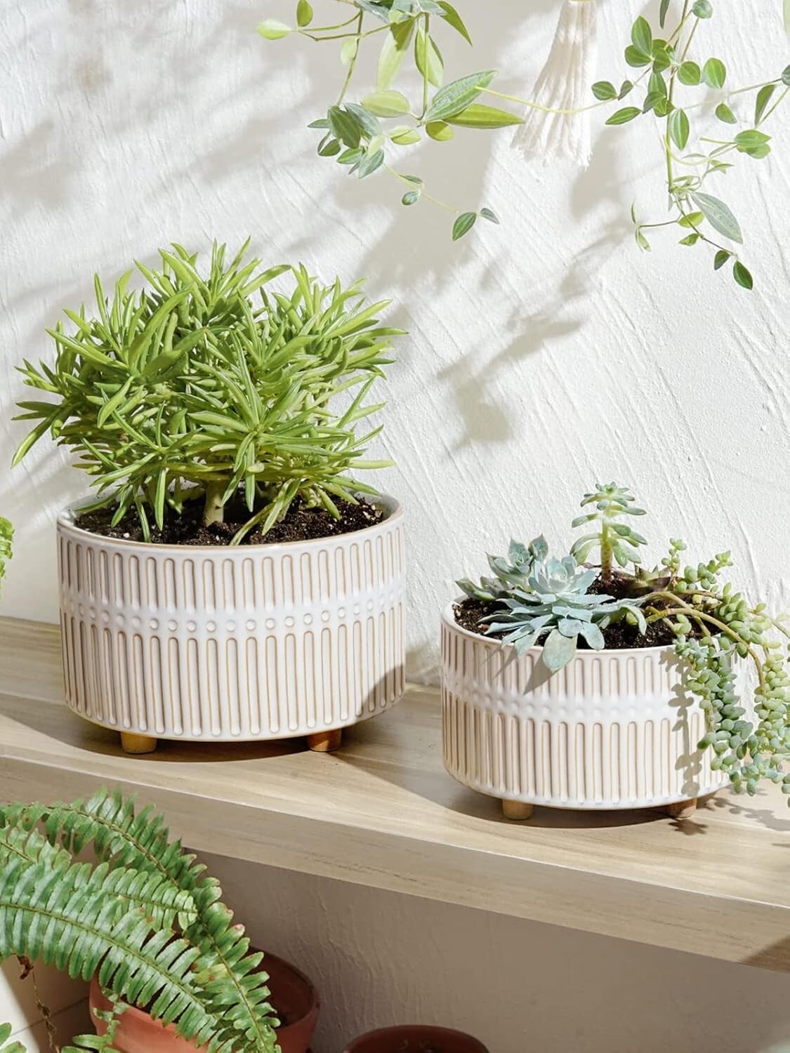 Elegant 6.5/8 Inch Ceramic Succulent Pots with Drainage - Indoor Garden Combo