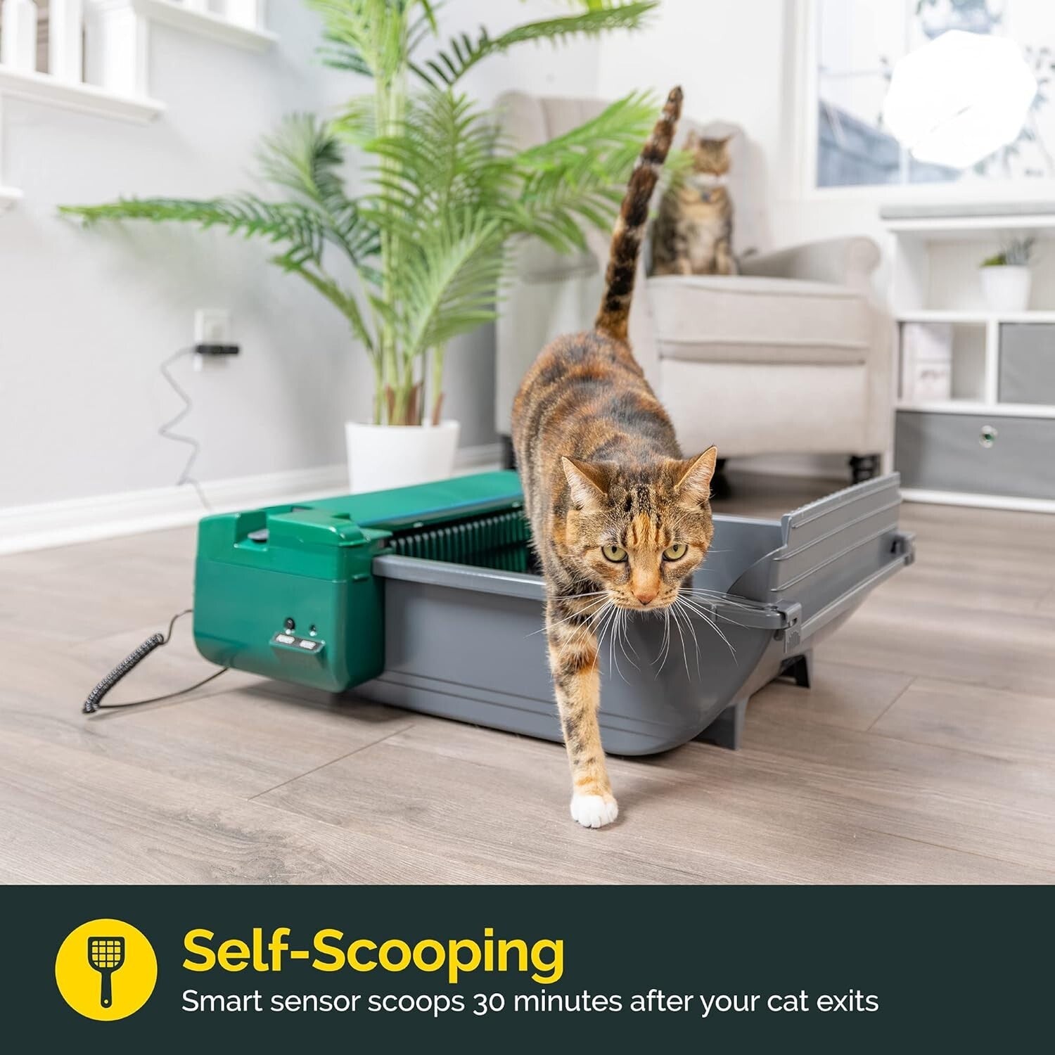 Automatic Cat Litter Box with 4-Month Supply - Mess-Free, Odor Control Design