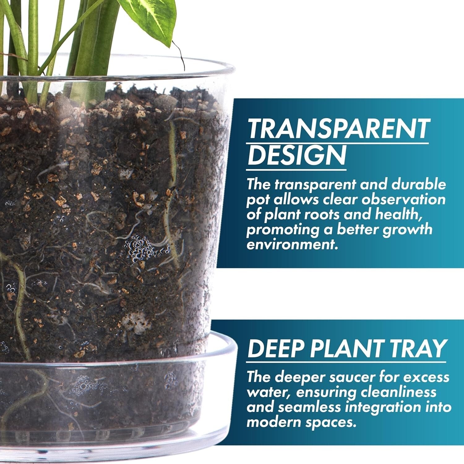 Elegant 8-Inch Clear Planter Pot Set with Deep Saucer – Indoor Herb & Orchid Pot