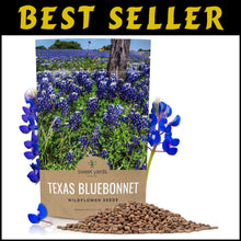 Load image into Gallery viewer, Bulk 1/4 Pound Bluebonnet Seeds - Over 4000 Fresh Wildflowers for Texas Gardens