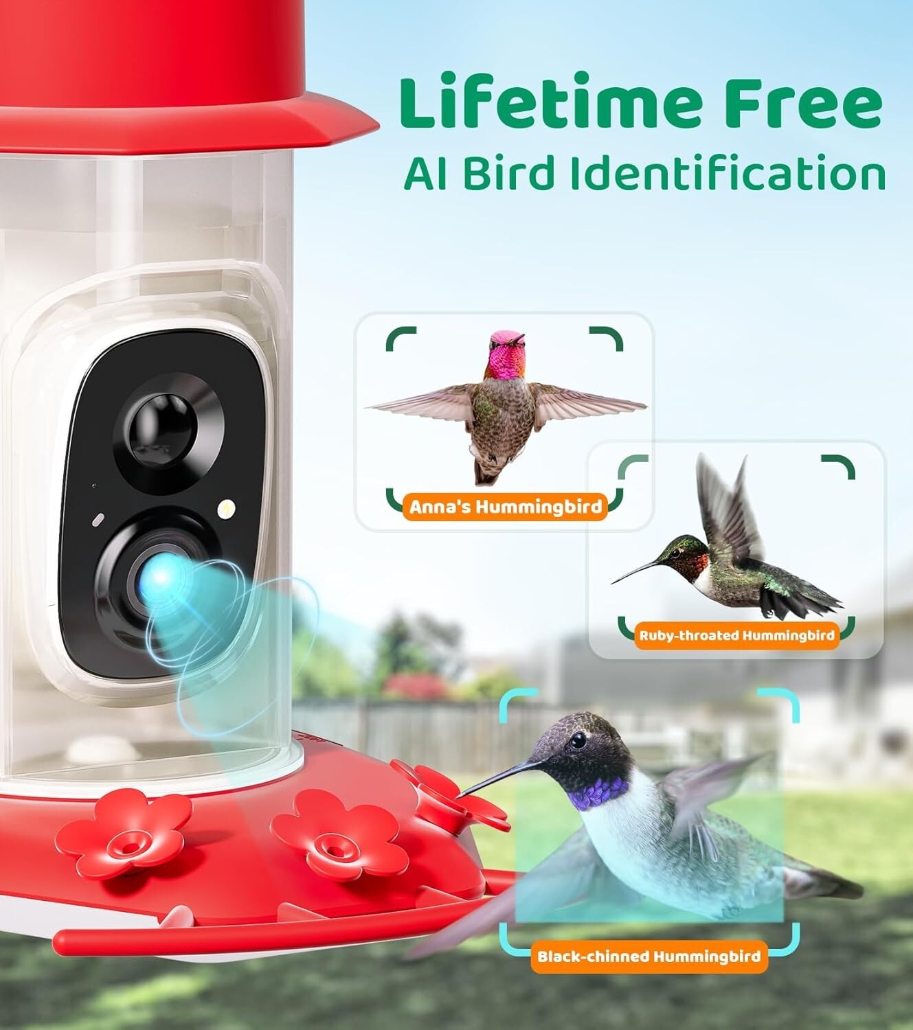Interactive Hummingbird Feeder with HD Camera & Ant Moat - Gift for Bird Lovers