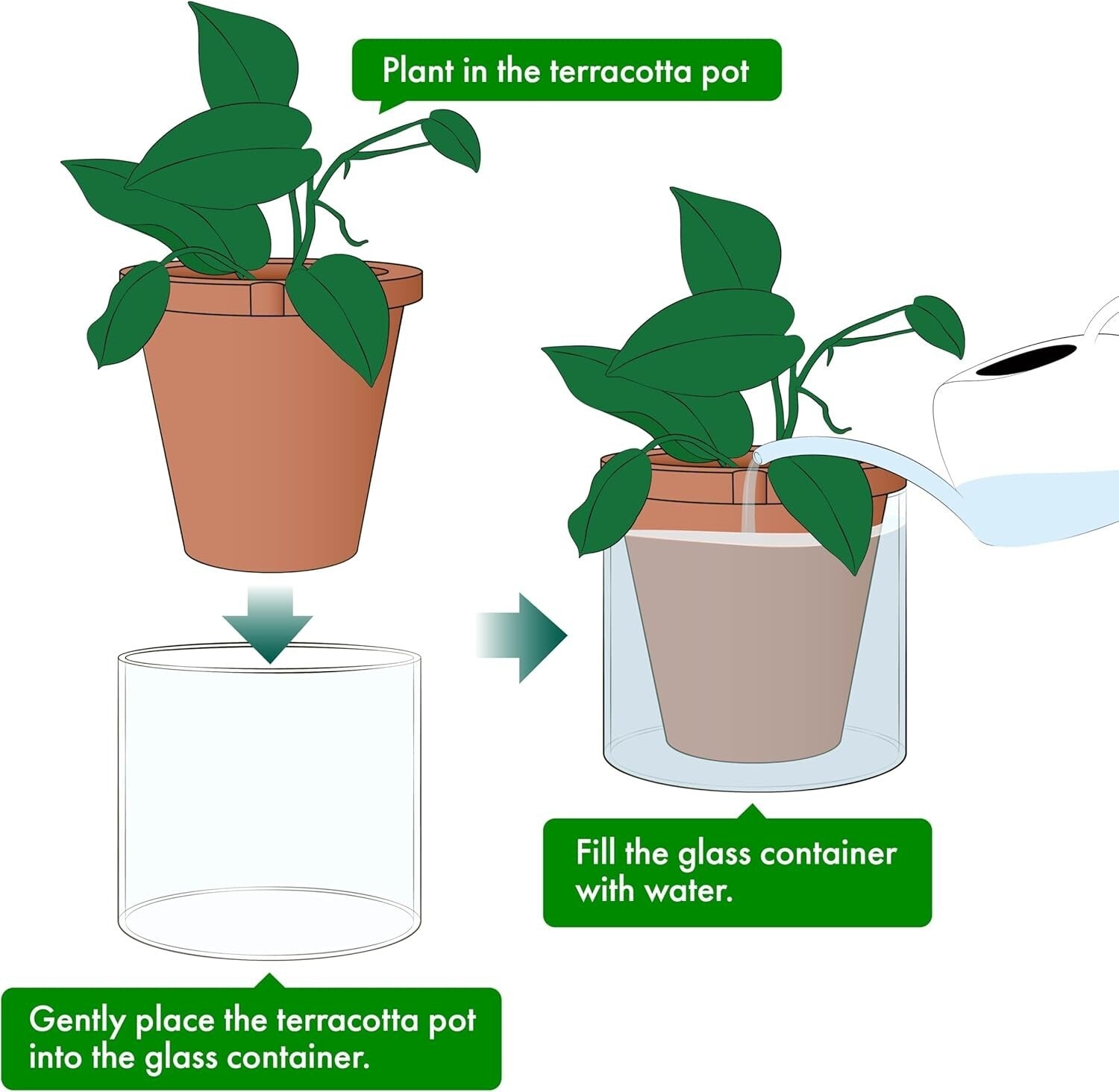 8 Inch Self-Watering Terracotta Planter with Glass Reservoir - Modern Elegance