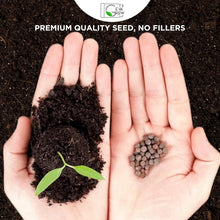 Load image into Gallery viewer, Organic Perennial Wildflower Seed Mix, 1 lb Shaker for Effortless Planting