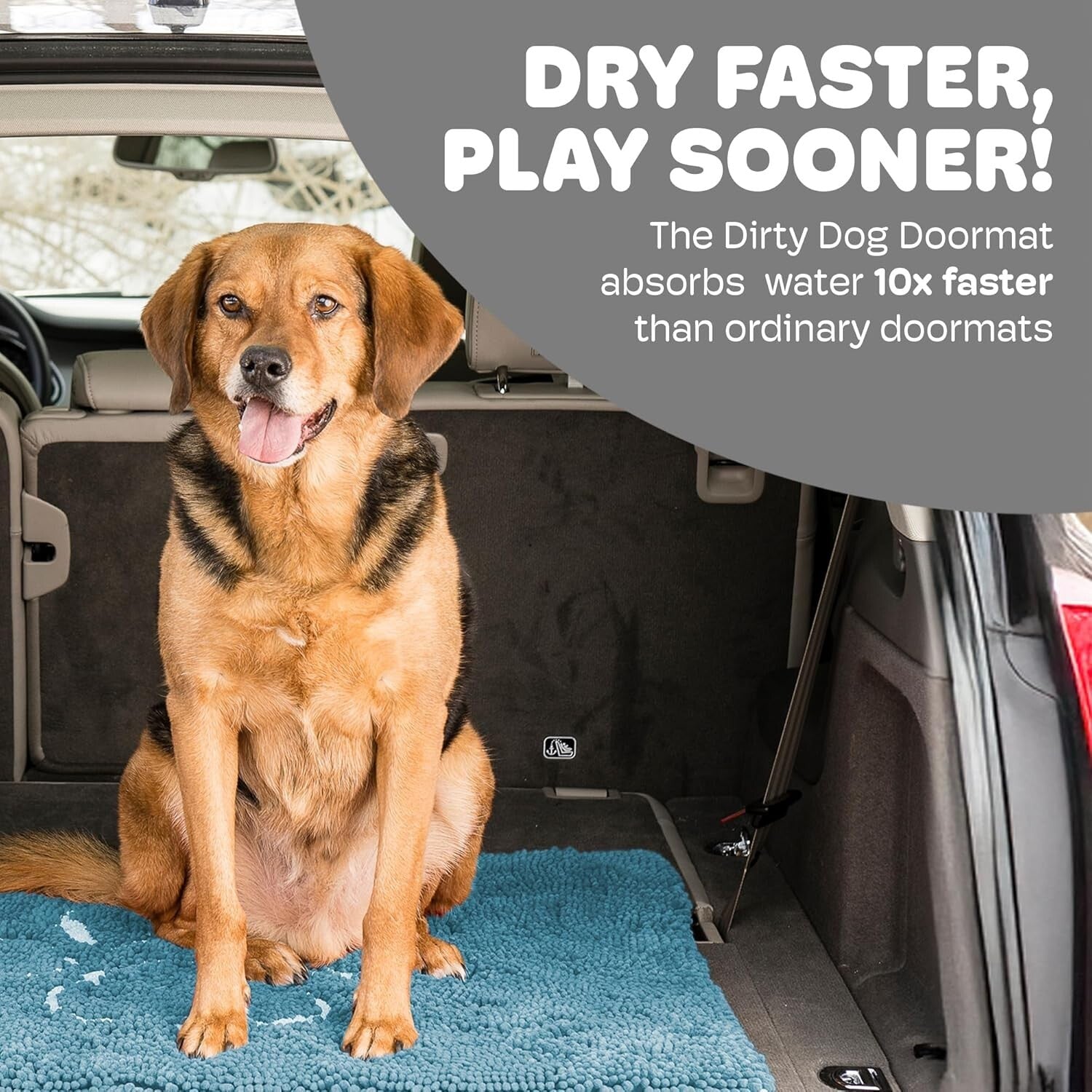 Versatile Pacific Blue Dog Door Mat - Absorbs Mud & Water Fast, Machine Washable