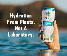 Load image into Gallery viewer, 100% Pure Coconut Water - 12 Pack of 17.5 Fl Oz Bottles for Refreshing Hydration