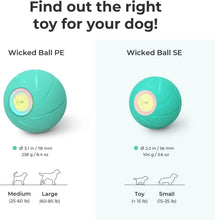 Load image into Gallery viewer, Active Rolling Dog Toy Ball - LED Light &amp; Durable Design for Medium/Large Dogs