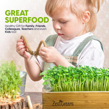Load image into Gallery viewer, Stylish Microgreens Growing Kit with Natural Wood Finish - Perfect for Beginners