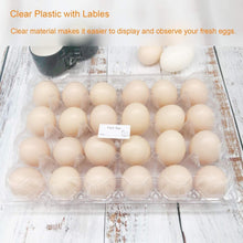 Load image into Gallery viewer, Reusable 24 Egg Clear Cartons with Free Labels – Perfect for Markets &amp; Farms