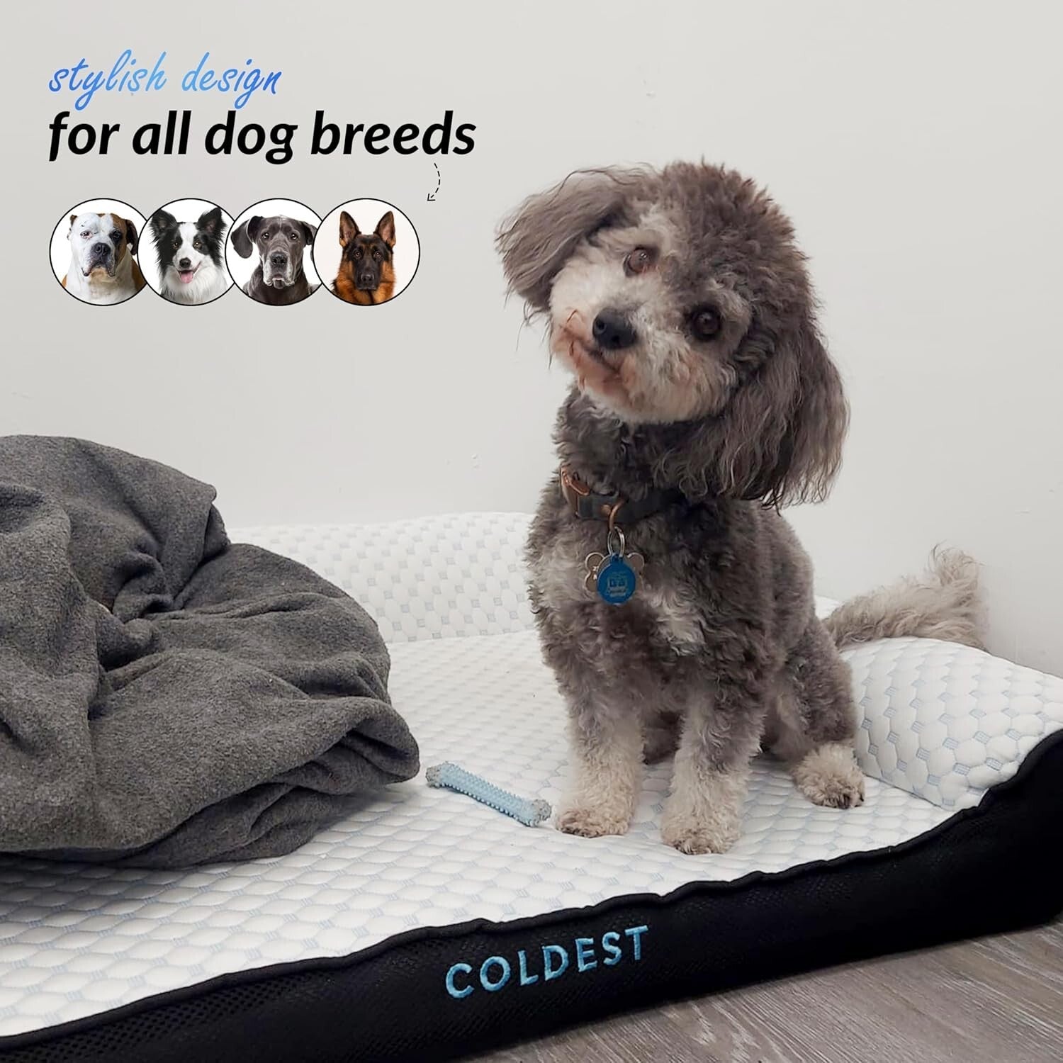 The Coldest Cozy - Medium Dog Bed with Cooling Gel, Anti-Slip & Water-Resistant