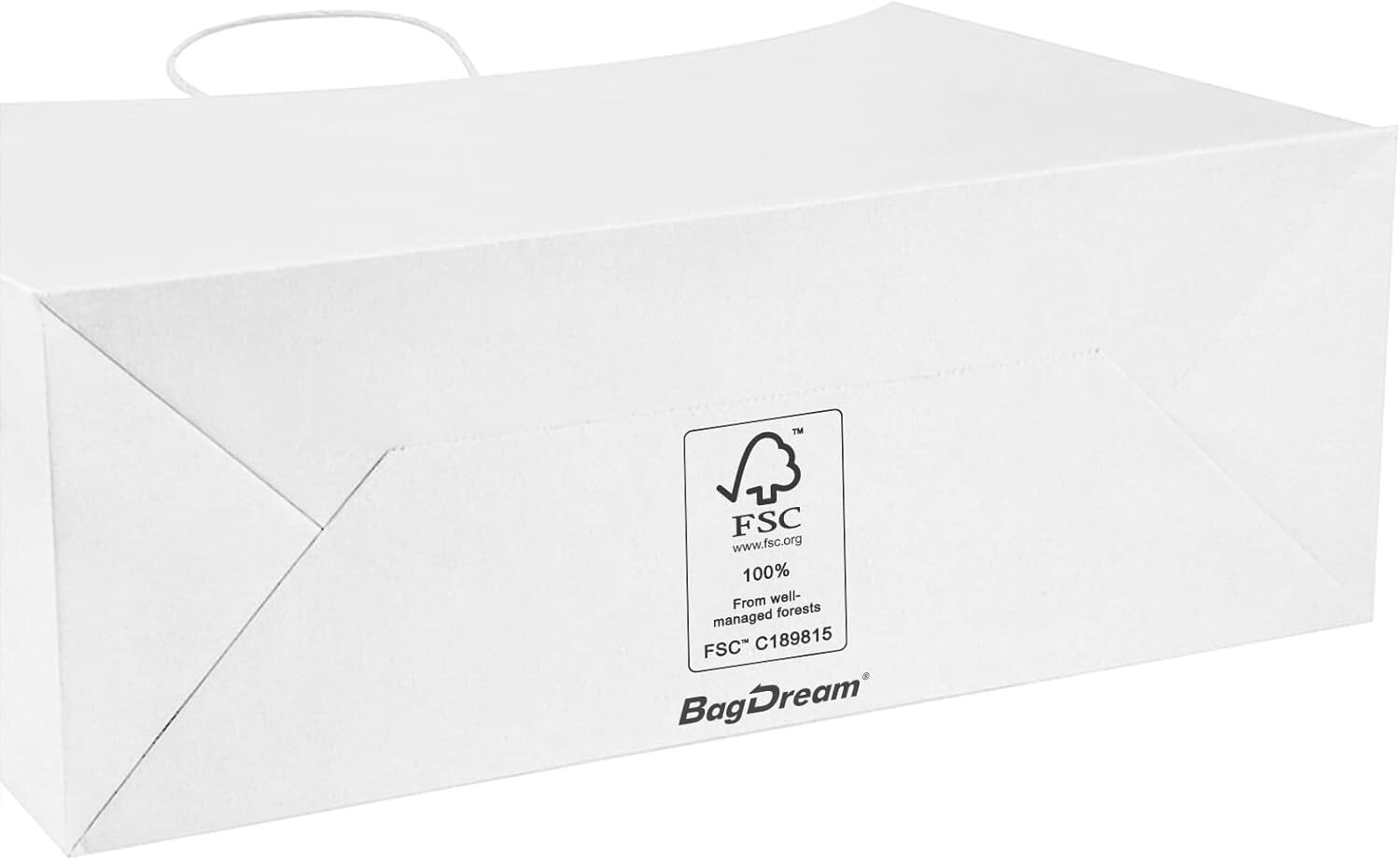 Eco-Friendly 100-Pack Large Kraft Paper Bags with Handles for Events and Retail