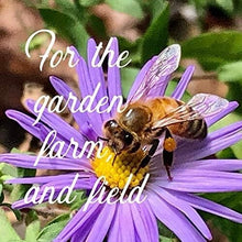 Load image into Gallery viewer, Stunning 1 lb Wildflower Seed Blend - Attract Bees &amp; Butterflies - Easy to Grow
