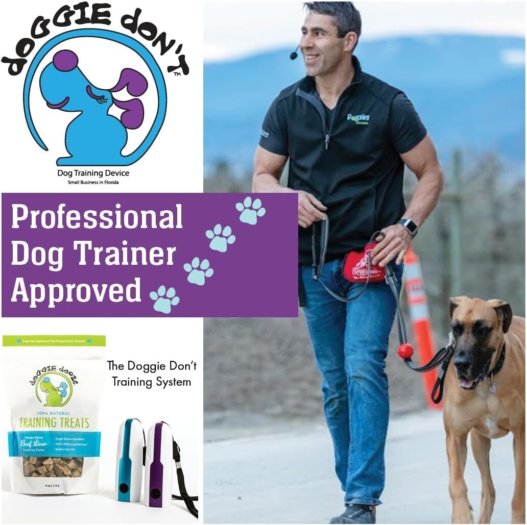 Electronic Dog Training Bark Control Device - Train Unwanted Behaviors Safely