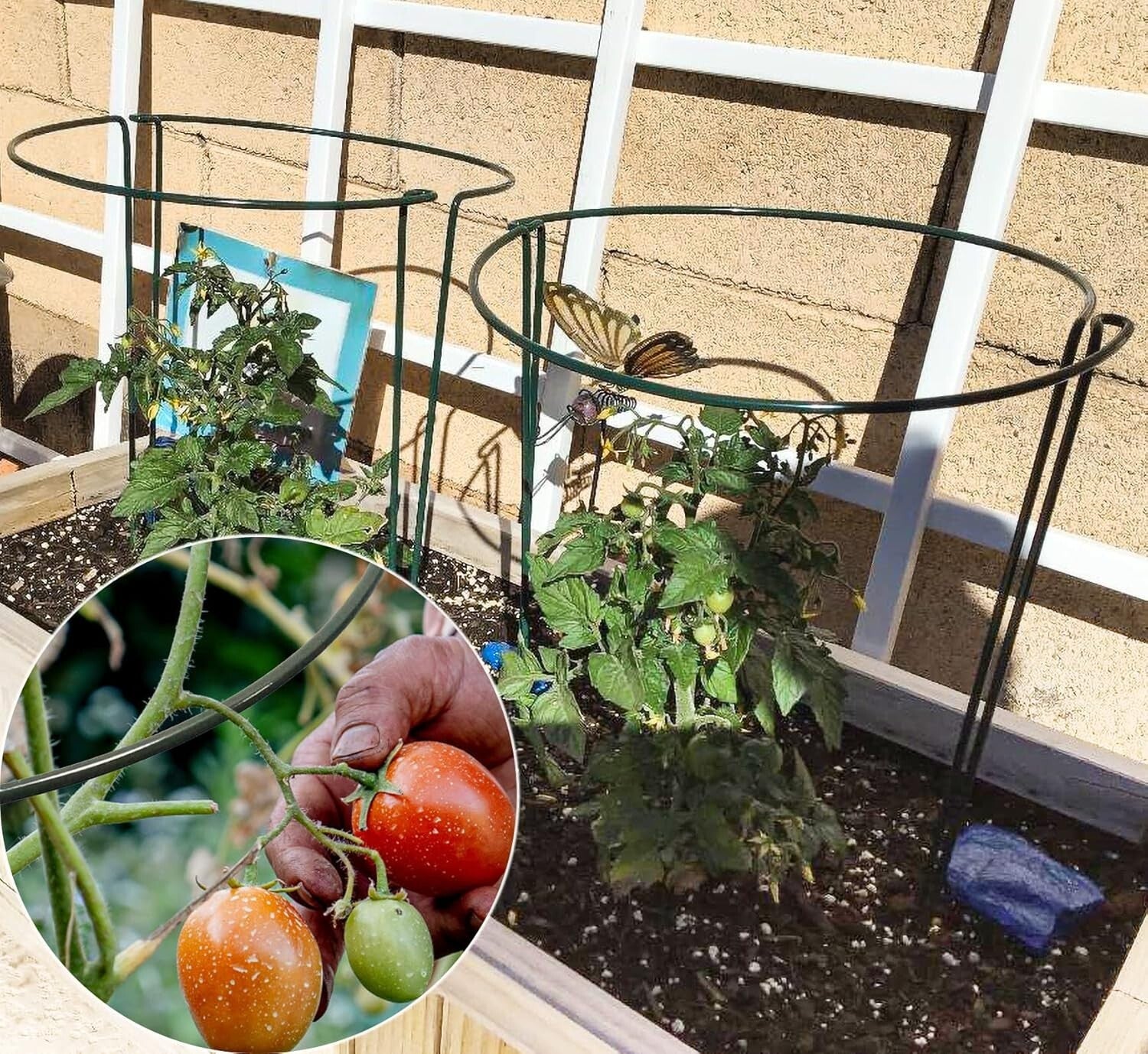 Elegant 20 Pack Plant Support Stakes - 10" Wide x 16" High for Garden Aesthetics