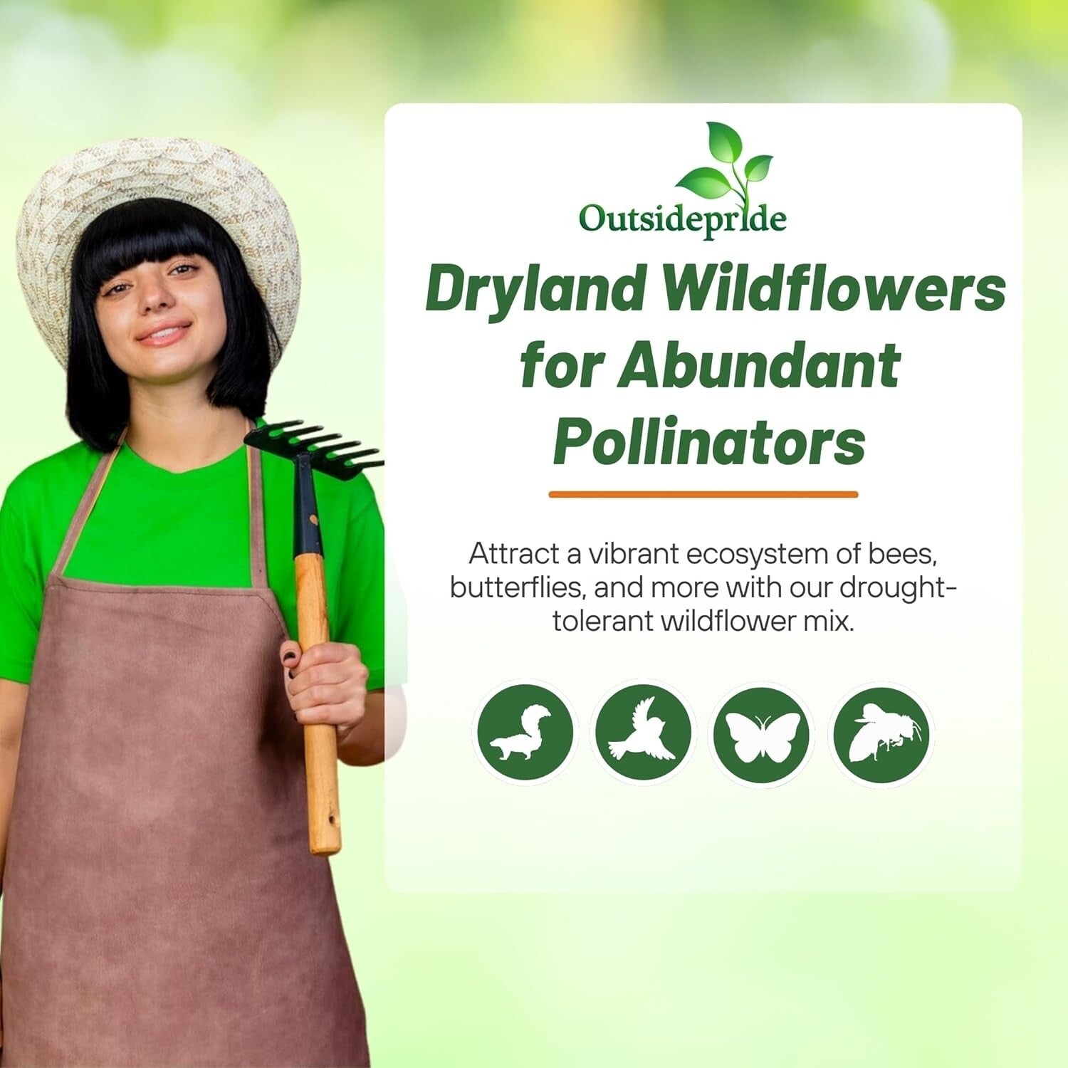 5 lbs. Heirloom Wildflower Seeds – Drought-Tolerant Mix for Full Sun & Shade